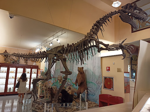 University Museum of Chieti - Thumbnail