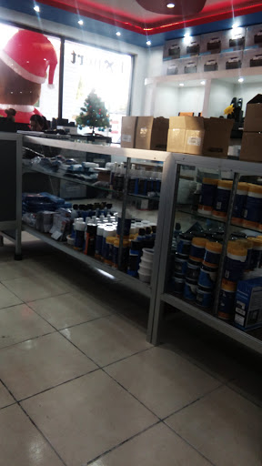 Expert Computer Systems Gallery - Mexico
