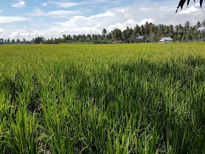 Photos of Sanggar Tani Halabolu