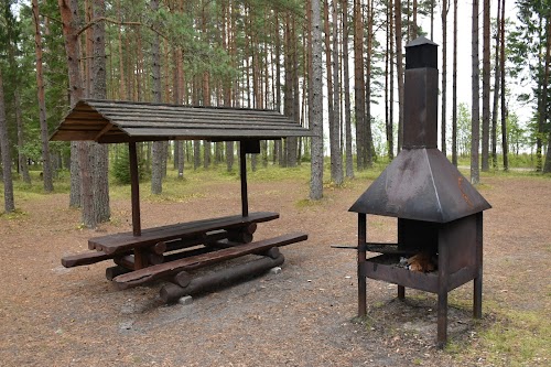 RMK Tõrvanina telkimisala