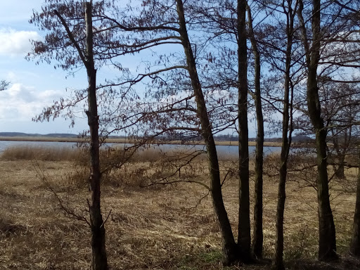 Wald- & Jagdgut Lütow - Thumbnail
