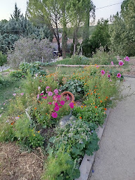 Photo n°17 de AgrEcoPaillage à Rians (Service de livraison)