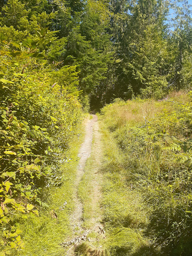 MacGregor Trail - Thumbnail