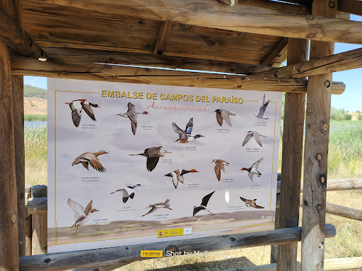 Zona Recreo Carrascosa (Embalse de Campos del Paraíso)+Barbacoas+PArque niños - Thumbnail