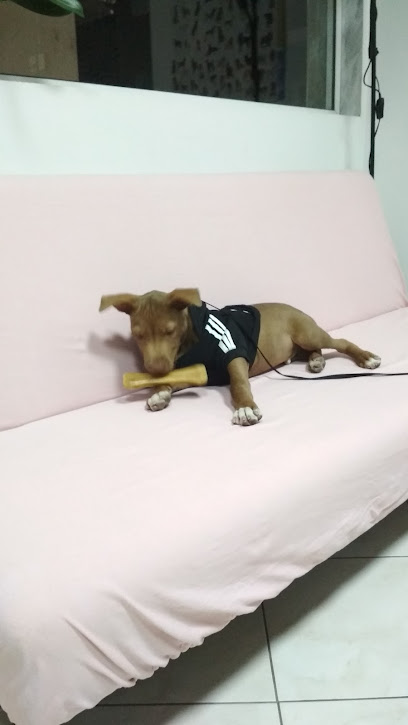 MY VET ΠΑΝΤΙΚΙΔΟΥ ΑΝΝΑ ΜΑΡΙΑ