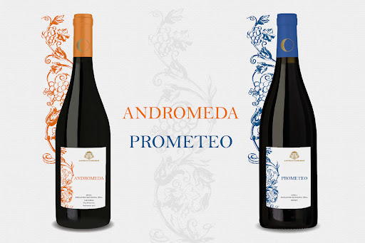 Cantina di Vicobarone - Thumbnail