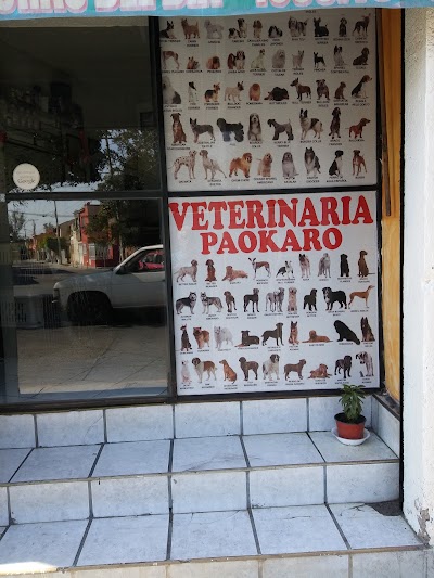 Photos of Veterinary Hospital PAOKARO