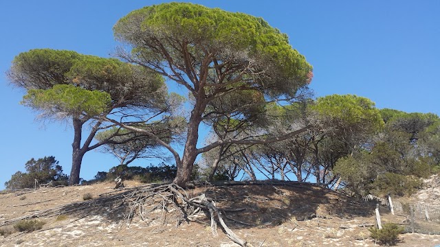 Plage de Palombaggia