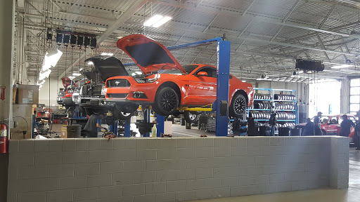 Borgman Ford - Visual