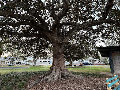 Wynnum - Thumbnail