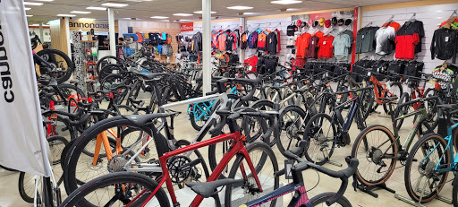 Bimont Bike shops Palma - Thumbnail