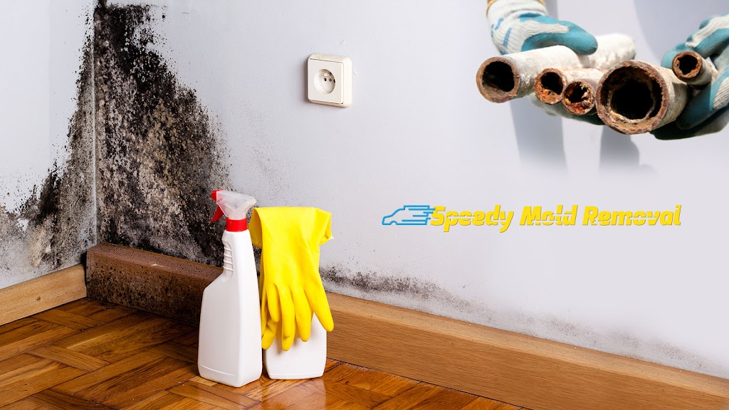 Speedy Mold Removal photo