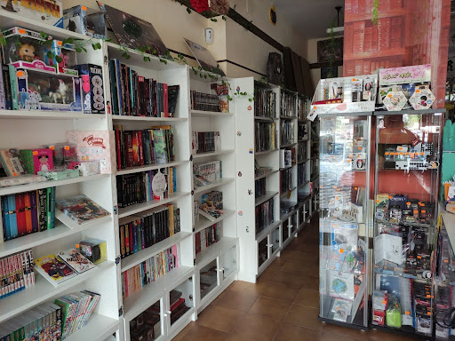 Librería y tienda de hobbies Roleón