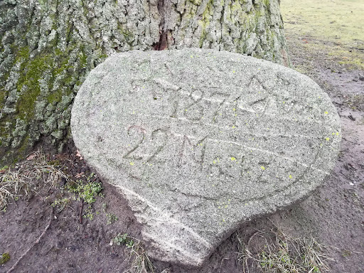 Friedenseiche von 1871 - Thumbnail