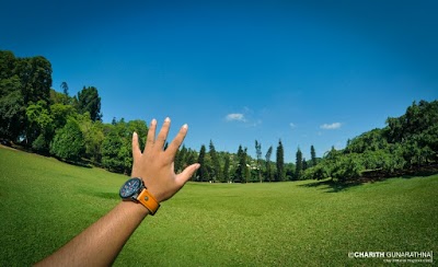 Photos of Royal Botanical Gardens
