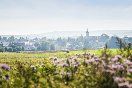 Hundert Morgen Land - Thumbnail