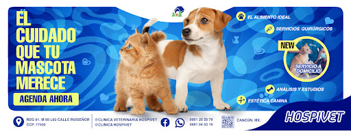 Veterinary Clinic Hospivet
