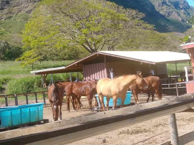 Kualoa Regional Park