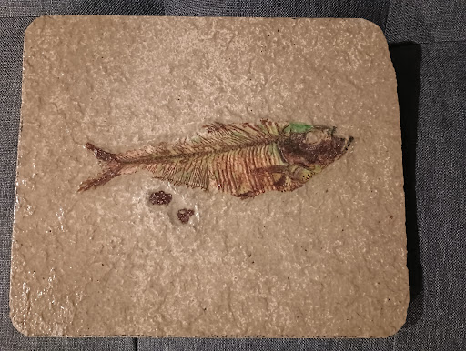 Rix Antiques - Visual