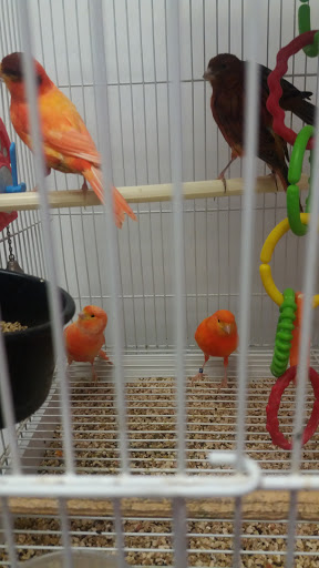 North East Discount Pet Center - Thumbnail