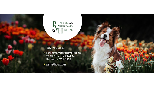 Petaluma Veterinary Hospital