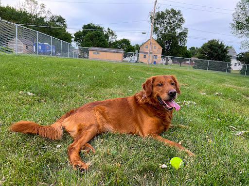 Centennial Park Dog Park - Thumbnail