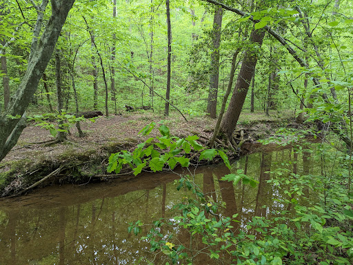 Fred Crabtree Park - Thumbnail