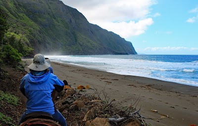 ‘Awahua Beach