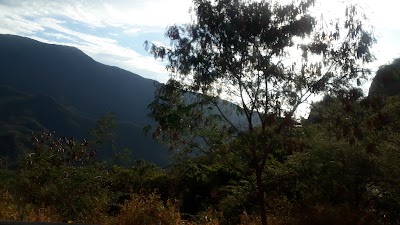 Photos of BioMax Quinini