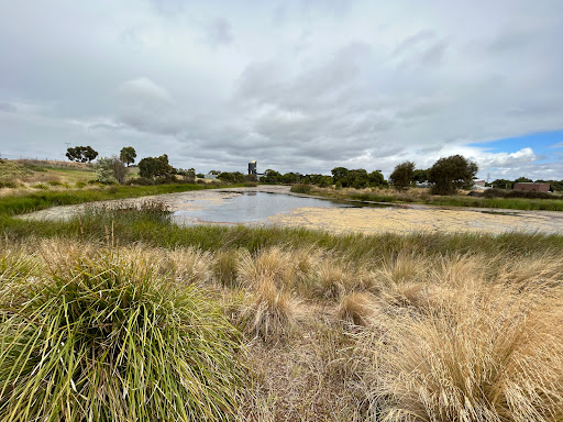 Grinter Reserve - Visual