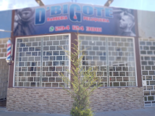 D'BIGOTE 2 - Visual