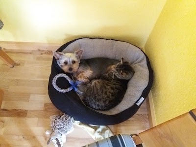Photos of Kleintierpraxis R&ouml;nnert