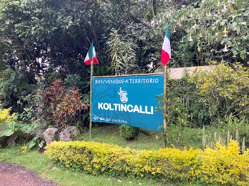 Koltincalli - Thumbnail