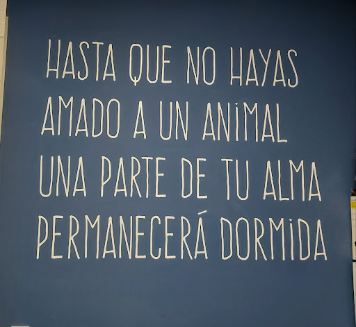 Clinica veterinaria Sam