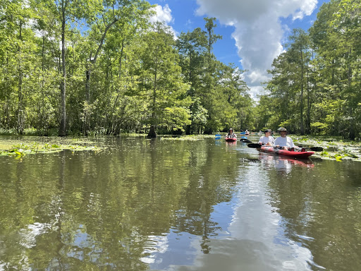 Beyond the Bayou Tours - Thumbnail