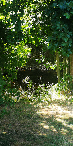 Bord du lignon - Thumbnail