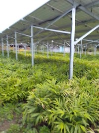 Panasonic shop ハートラインヤマグチ