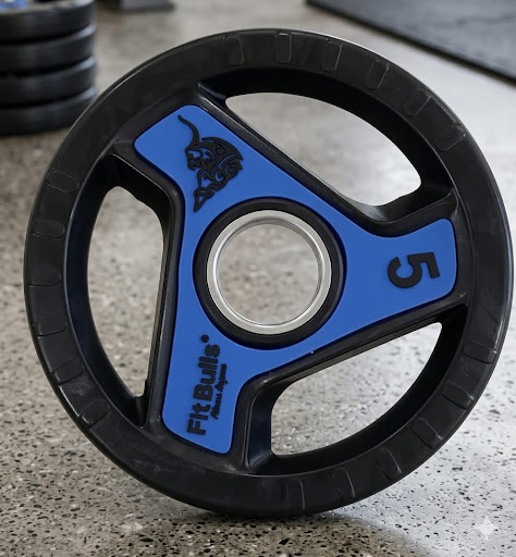 Fitbull TPR Coated Plates, TPR Weight Plates, Rubber Coated Weight Plates, Gym Weight Plates, Oly… post image