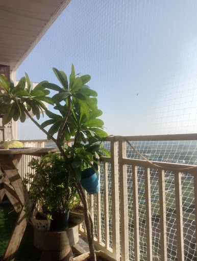 Gallery image 13