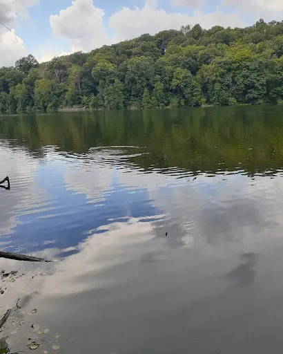 Pocantico Park - Thumbnail