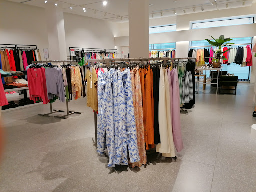 Mango Terni - Visual