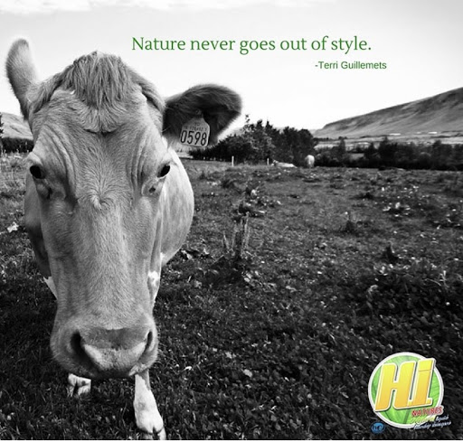 Hi Natures All-Natural Detergent & Products Atlanta, GA Gallery - United States