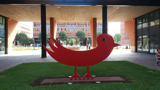 Piazza delle Istituzioni - Thumbnail