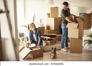 Freeman Moving - Visual