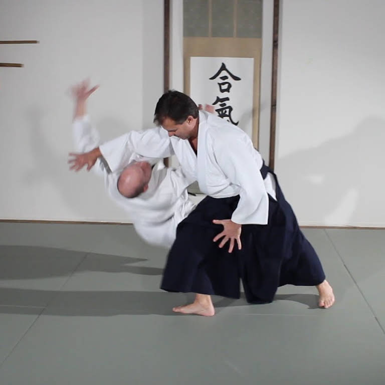 Aikido from A to Z Tanto - Knife