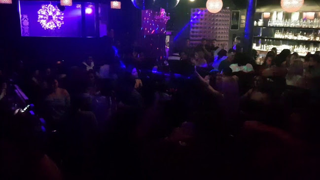 Reviews of Boston on Blair in Wellington - Night club
