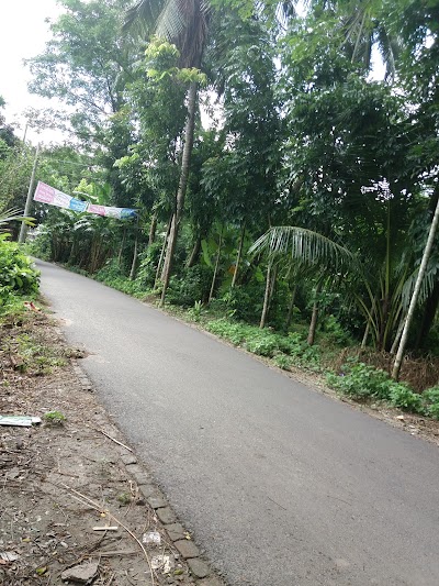 Photos of Chatkhil Dakshin Para Jame Masjid