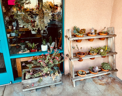 Bloom in Box (by Flower & Co.) - Thumbnail