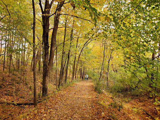 Middle Fork Woods Nature Preserve - Thumbnail