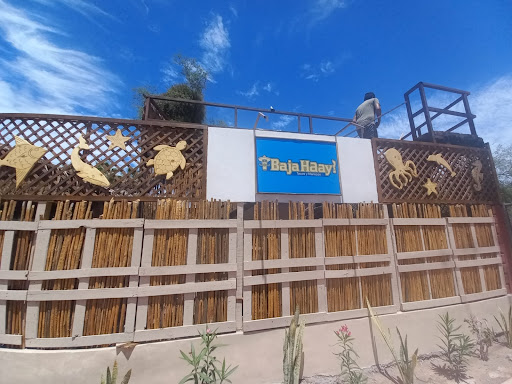 Baja Haay - Thumbnail